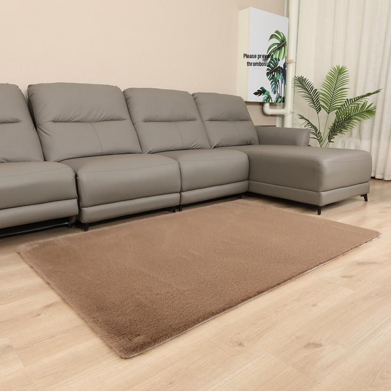 

European Woven Faux Fox Fur Long Pile Carpet – Dirt-Resistant, Easy-Clean, for Bedroom & Living Room 60x90 cm