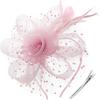 DRESHOW Chapeau Fascinator Fleur Filet Rubans Plumes sur un Bandeau et un Pince Chapeau de Thé pour Filles et Femmes