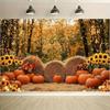 2D Pumpkin Hay Bale Background for Family Photoshoot and Parties