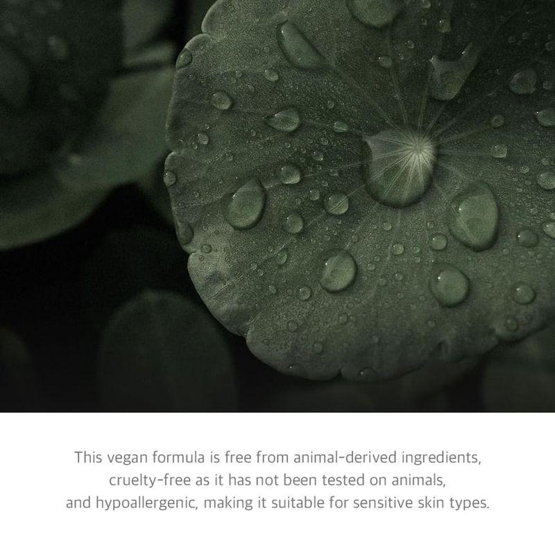 FREIER MOMENT - Grünes Beruhigungs-Serum-Spray