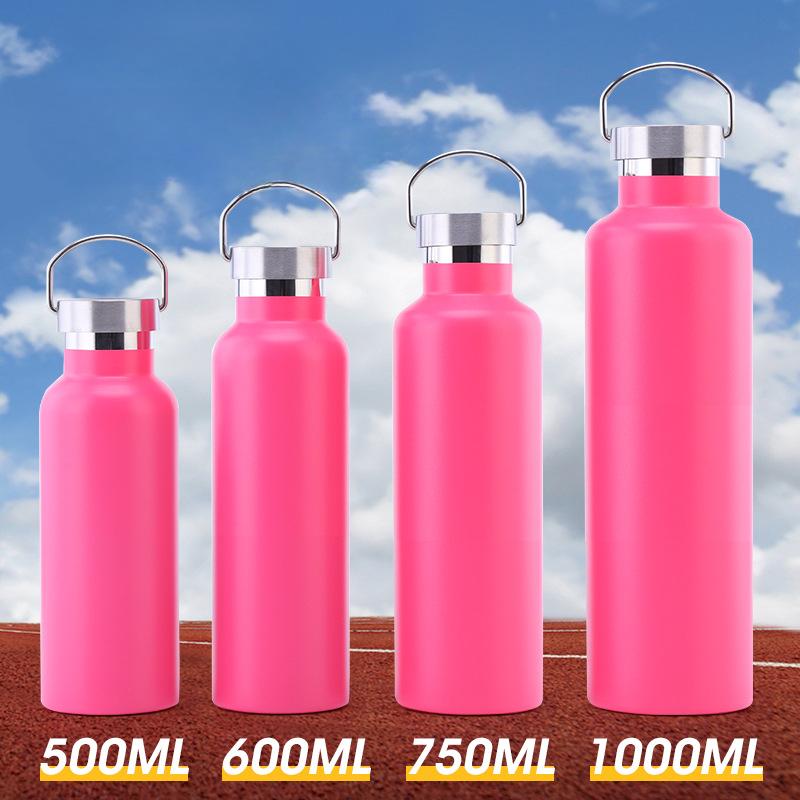 Stainless Steel Water Bottle with Handle Lid, Double Wall Vacuum Insulated Bottle for Sports Hiking Gym