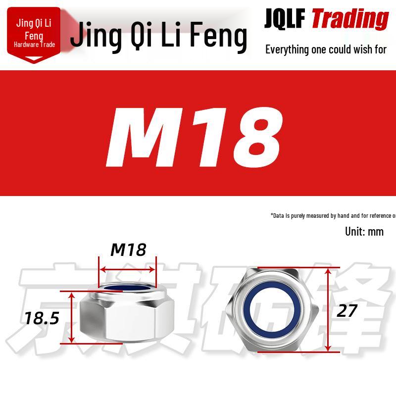 201 Stainless Steel Hex Nut with Nylon Insert, Self-Locking M4-M20