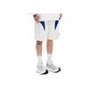 Li Ning Color Block Mid Rise Straight Loose Sports Shorts Men Shorts Off-White Shadow-Purple Blue AKSU165-2