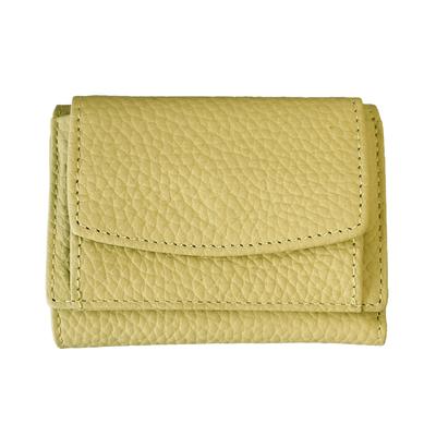 Holiday A.M. Mini Trifold Wallet for Men and Women, Size: 7.5cm X 10cm X 2.5cm, Lightweight, Slim, Large Capacity, Small Coin Purse, Bill