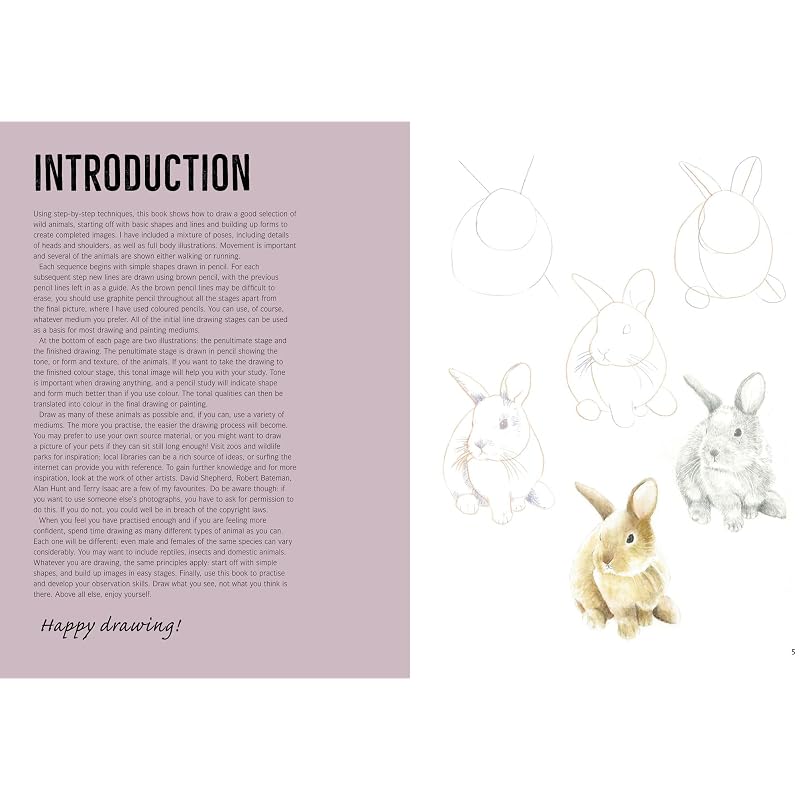 How To Draw Woodland Animals In Simple Steps