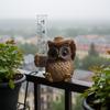 Resin Animal-Shaped Rain Gauge With Tube Creative Resin Rain Gauge Sculpture Outdoor Garden Decorative Ornament