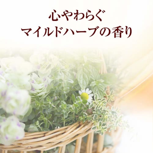 50 Megumi Hair and Scalp Nourishing Treatment Body + Refill Comes with Gokujun Hyaluronic Acid Sachet (Soothing Mild Herbal Scent, Contains 5 Types of