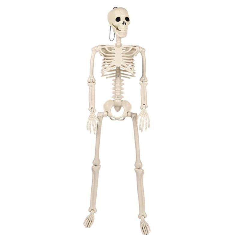 Hanging For Halloween Decoration Life Size Poseable Skeleton Full Human Body For Halloween Graveyard Scene Props