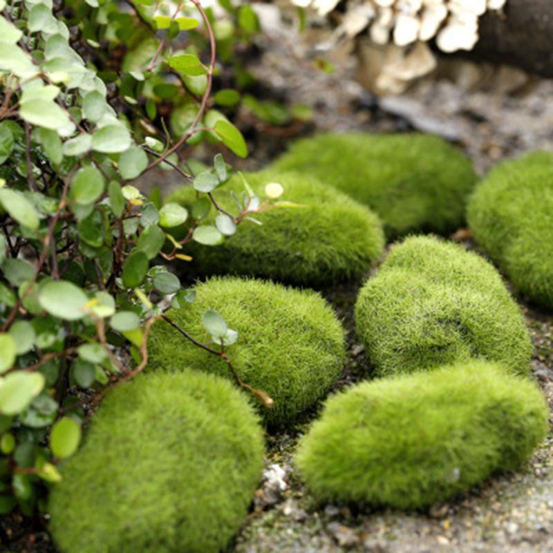 Elegant Moss Ball Artificial Grass Turf For Lasting Micro Landscape Decoration