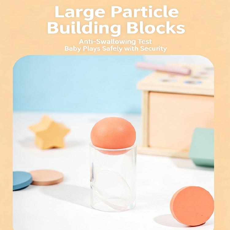 Safe Wooden Shape Color Sorting Box Geometric Educational Toy for Toddlers Learning Activity