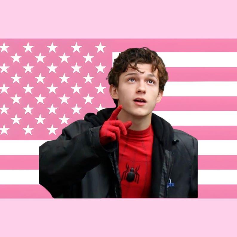 Pink American flag tapestry 75x100