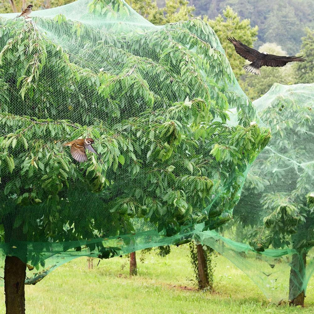 Rete Anti Uccelli Verde Rete da Giardino Rete per Piante Proteggi Piante e Alberi da Frutto da Uccelli Cervi Pollame Migliore Recinzione