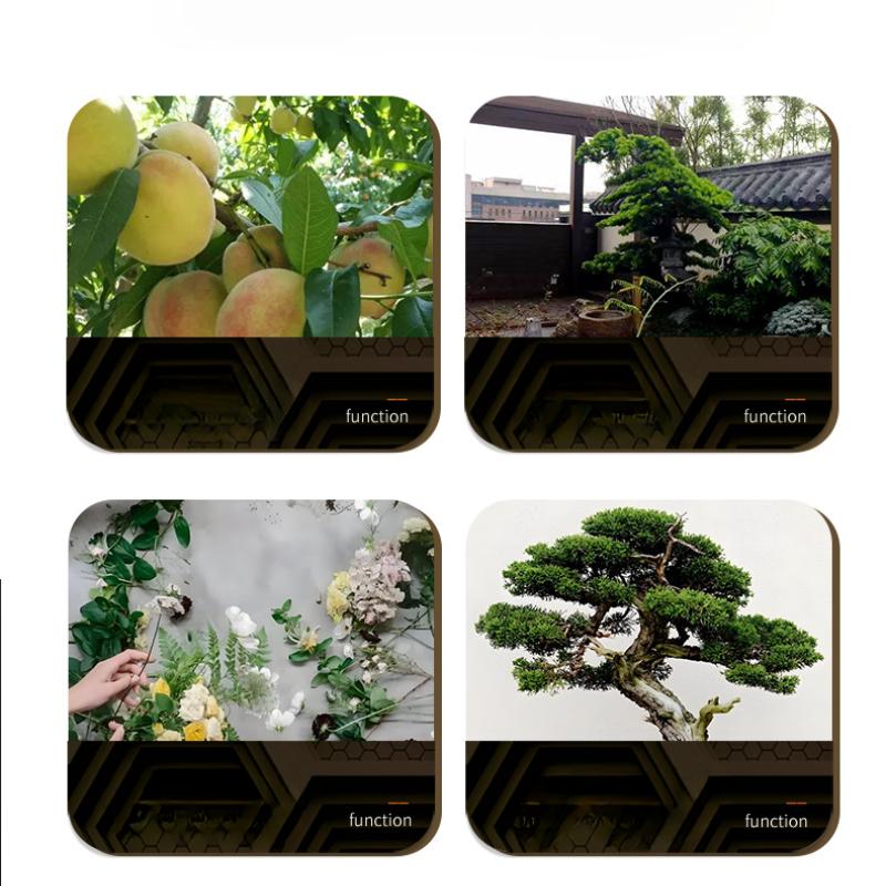 Fruit Tree Scissors Pruning Stainless Steel Pointed Fruit Picking Scissors Pruning Scissors Fruit Branch Vegetable and Fruit Scissors Floral Scissors