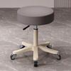 Beauty Salon Swivel Stool: Hairdresser, Nail Technician, Makeup Artist, Barber Wheeled Chair