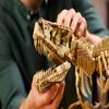 2025 New MOC 76968 Tyrannosaurus Rex Fossil Skeleton Model Home Decor Children's Boys' Holiday Gift