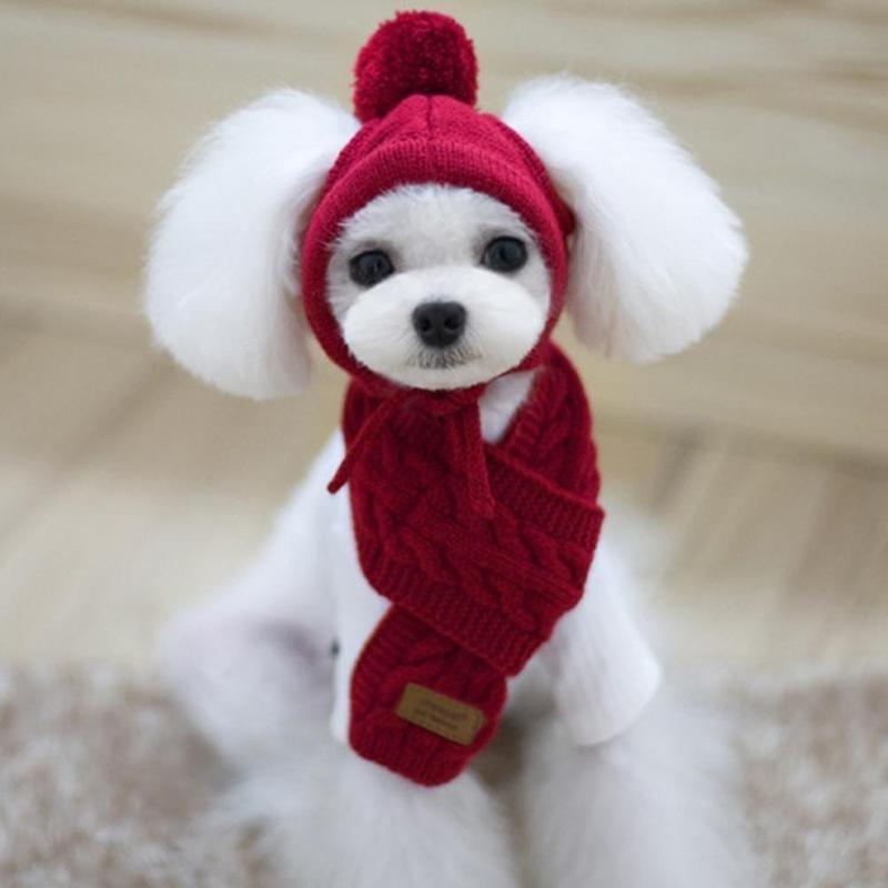 Haustier Hund Winter Warm Streifen Strickmütze + Schal Kragen Welpen Teddy Kostüm