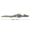 Simulation Dinosaur Fossil Plastic Skeleton Model Children'S Diy Handmade Dinosaur Skeleton Assembly Kit Tyrannosaurus Rex Model