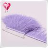 Ostrich Hair Cloth Edge Dress Dress Accessories Skirt Feather Trim With 10-15Cm Tassel