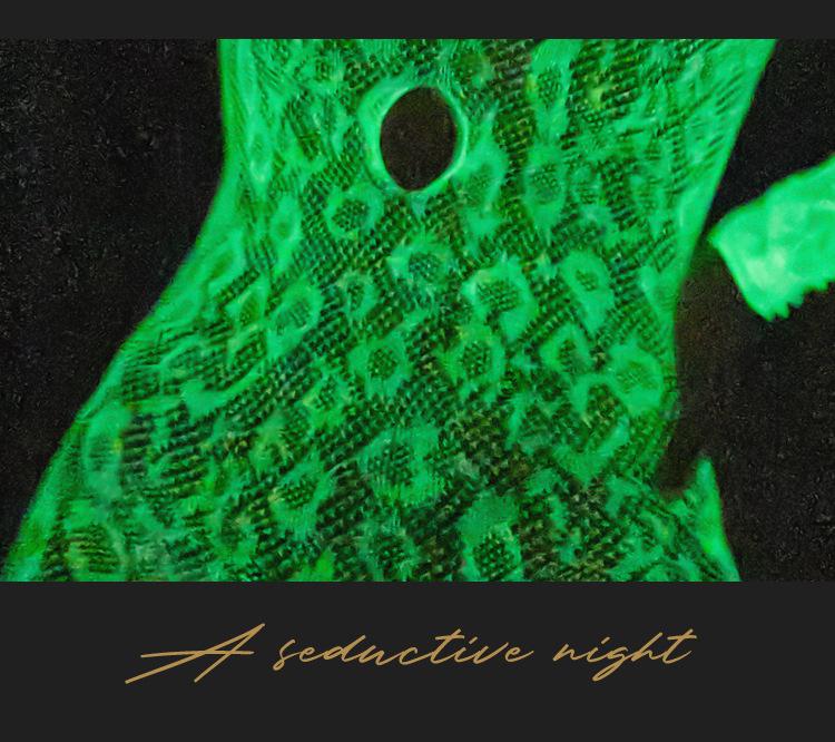 Fluorescent Fishnet Stockings Sexy Bodysuit with Suspenders