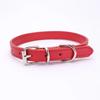 Adjustable Alloy Buckle Dog Collar with Cat Necklace Pet Chain for Small to Medium-sized Pets Durable Pet Supplies