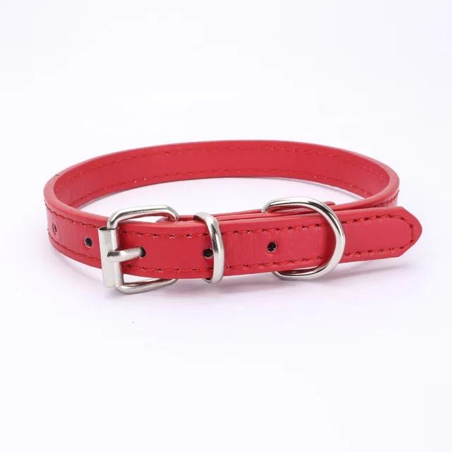 Adjustable Alloy Buckle Dog Collar with Cat Necklace Pet Chain for Small to Medium-sized Pets Durable Pet Supplies