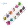 1 boks 10g tørket blomst negldekorasjon 12 farger Naturlig blomsterblandet tørrblomst DIY smykker Charms Manikyr dekor UV Gel Polish Nail Art Supplies