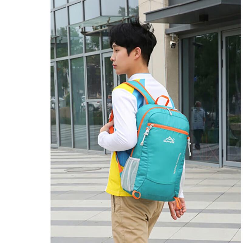 Foldable Ultralight Hiking & Travel Backpack Standard