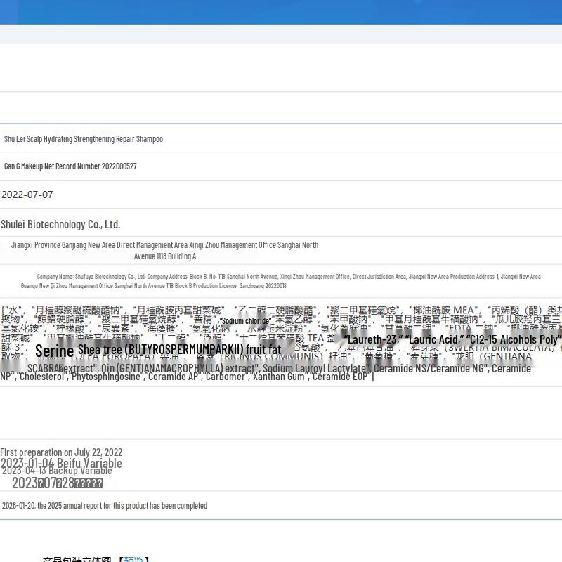 Slek Moisturizing & Smoothing Anti-Dandruff Silk Shampoo
