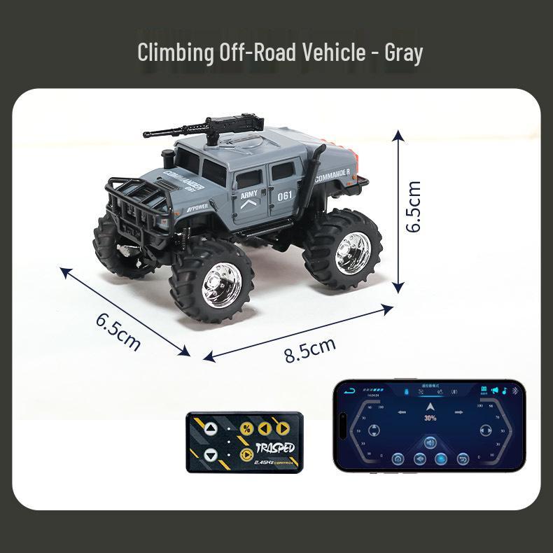 2.4G Alloy Remote Control Off-Road Racing Car with Cruise Control & Lights