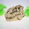 Dinosaur Resin Skull Aquarium Decoration: Fish Tank Ornament & Water Plant Landscaping
