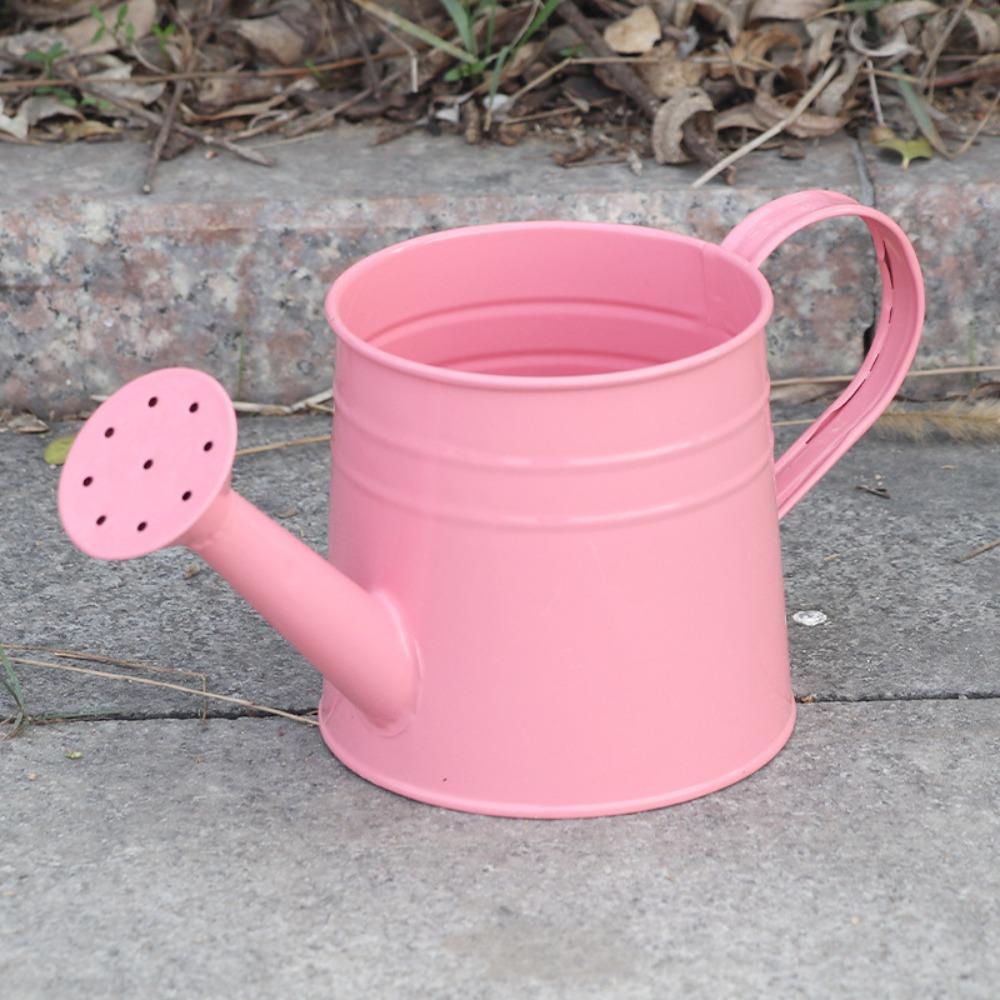 Home Watering Pot Large Capacity Water Spraying Pot Mini Watering Can  for Children