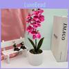 Butterfly Orchid Faux Flower Plant For Home Decor And Photography Backdrops