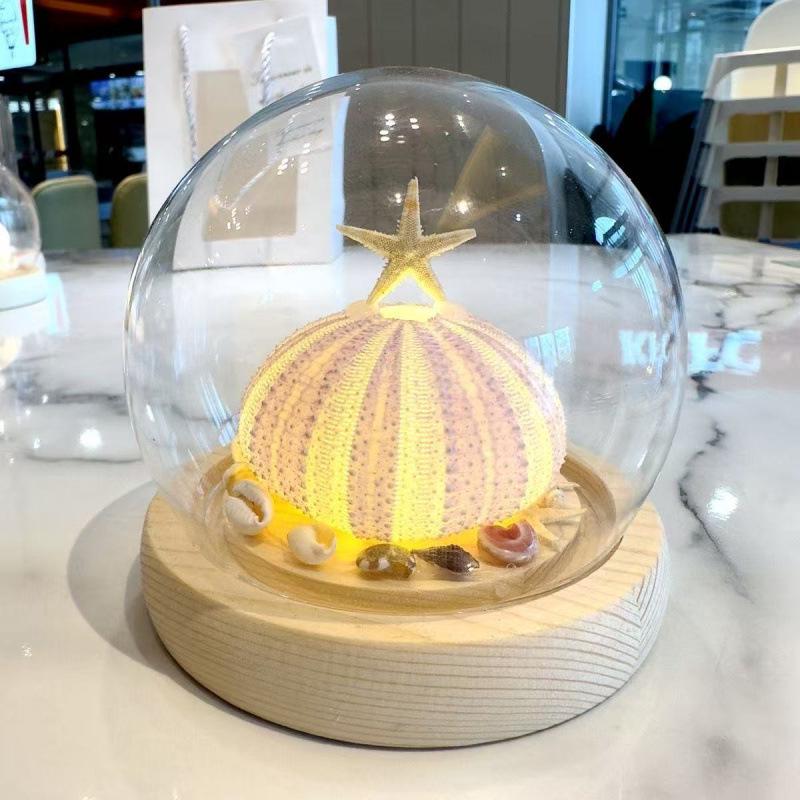 Sea Urchin Shell Jellyfish Night Light: Heart-Shaped Ornament for Mother's Day or Birthday