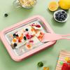 304 Edelstahl Elektrische Eismaschine für Zuhause Joghurt und Frittiertes Eis
