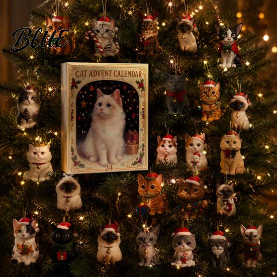 Cat Themed Countdown Day with Calendar for Christmas Advent Gift Box Lovers 24 Holiday Room