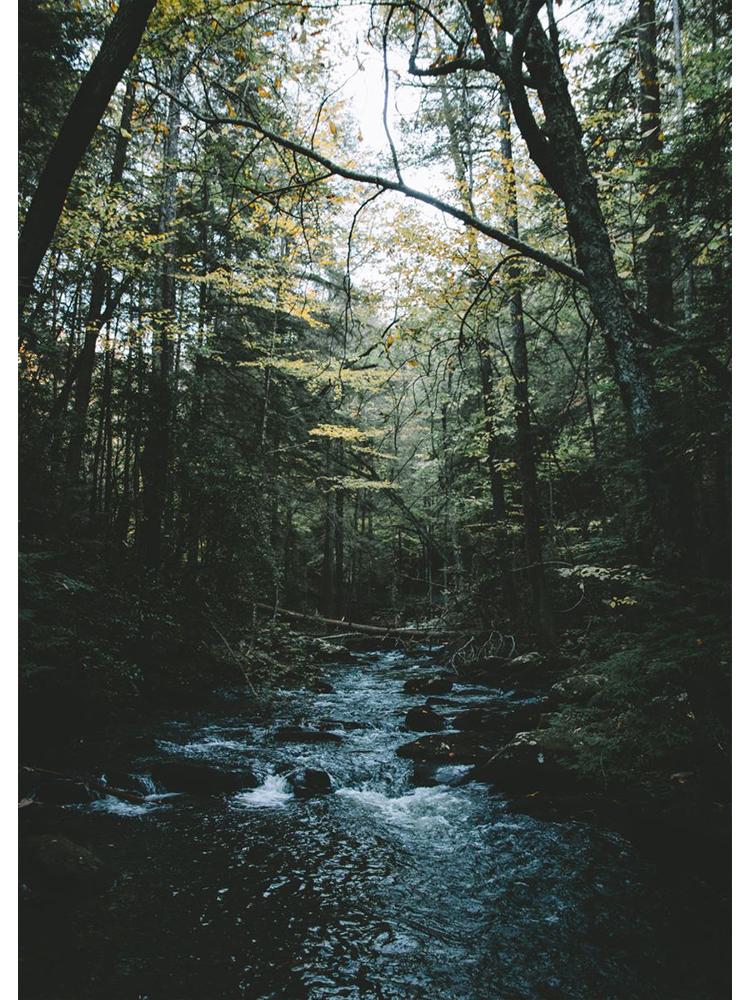Nordisk Natur Landskap Grønn Skogsvei Fjellsjø Plakat Lerretsmaleri Veggkunst For Moderne Stue Hjem Dekorasjon