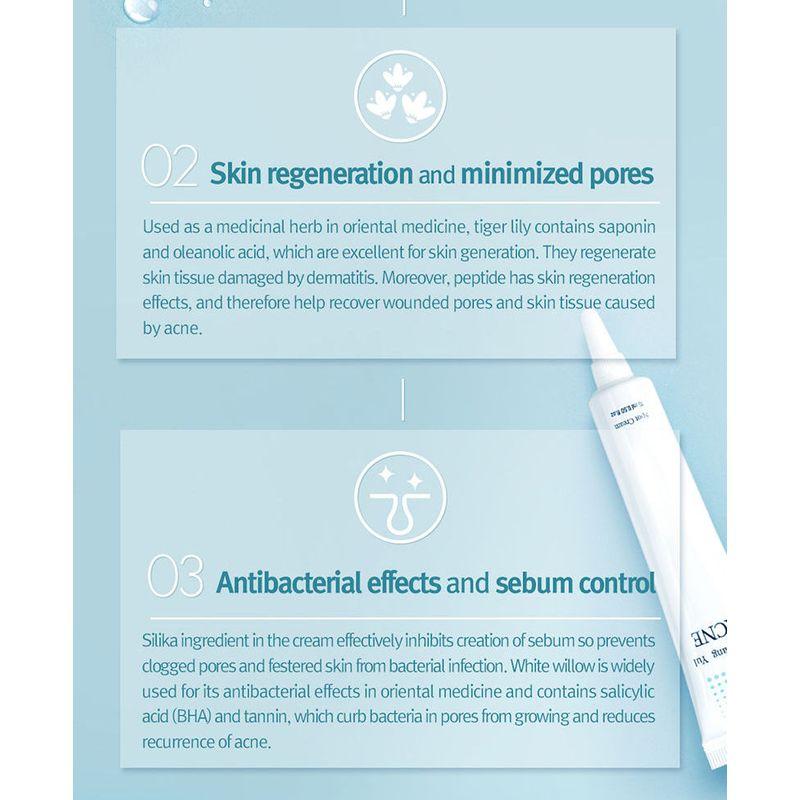 Pyunkang Yul - Acne Spot Cream 15ml