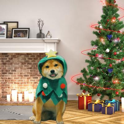 Hunde Weihnachtskostüm Haustier Weihnachtsbaum Kopfbedeckung Katze Bekleidung Festliche Rote Grüne Baummütze für Hunde Katzen Feiertagsparty Verkleidung