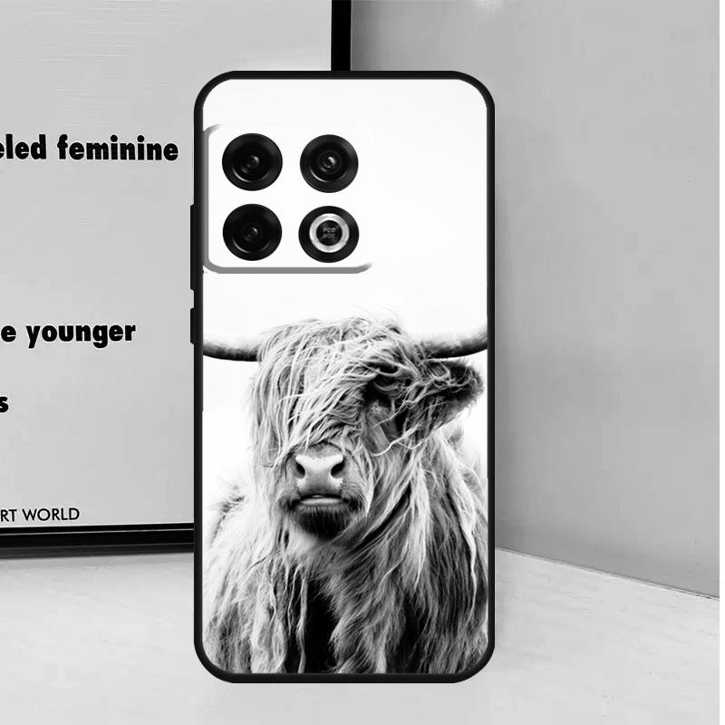 Cute Highland Cow For OnePlus Nord CE 5 2 3 4 Lite N20 N30 Case For OnePlus 13 12 11 9 10 Pro 10T 12R 13R 13T