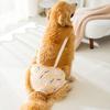 With Straps Female Pet Sanitary Panties Reusable Large Dogs Safety Diapers Pet Underwear  Home