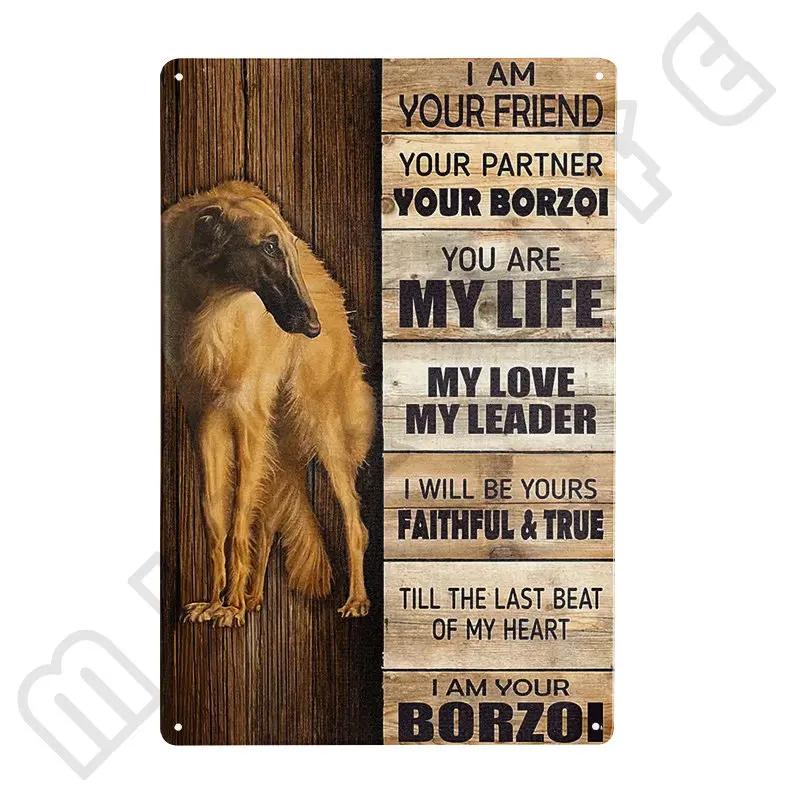 Afghan Hound Vintage Poster Metal Signs Retro Tin Sign Decorative Plaque Room Decoration for Pub Bar Man Cave Club Wall Decor