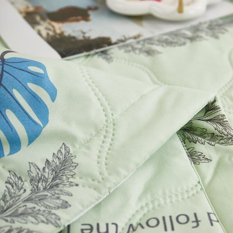 BGM Anti-Mite Plant Sanded Fiber Summer Quilt