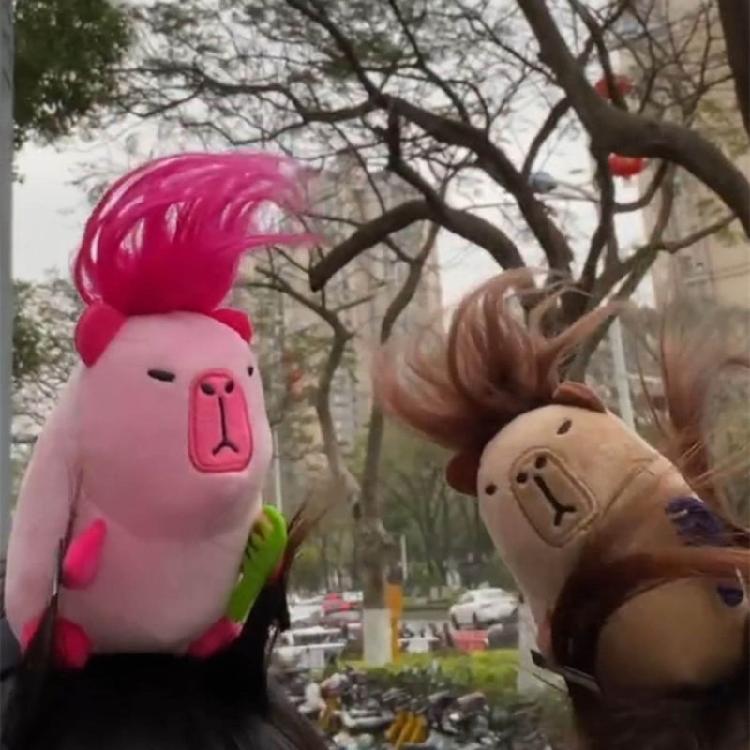 Capybara Stirnband Süßes Tier-Haarband für Alle Haartypen Kopfschmuck-Accessoire