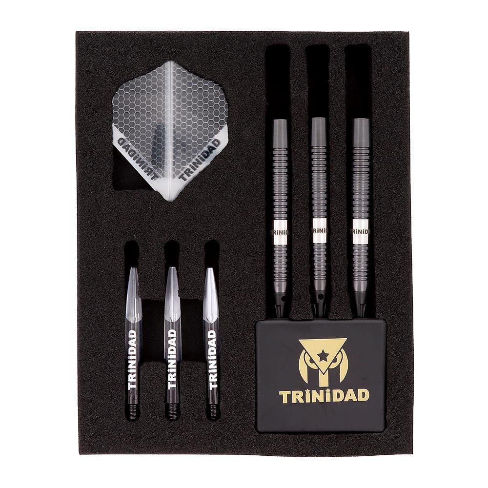 TRiNiDAD PRO LAZY 2BA Darts Terumune Matsuyoshi Model Set,
