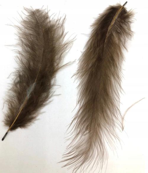 Brown Feathers 10-12Cm Op. 50 Pcs.