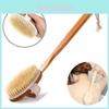 Luxurious Natural Bristle Shower Back Scrubber With Long Wooden Handle For Smooth Skin
