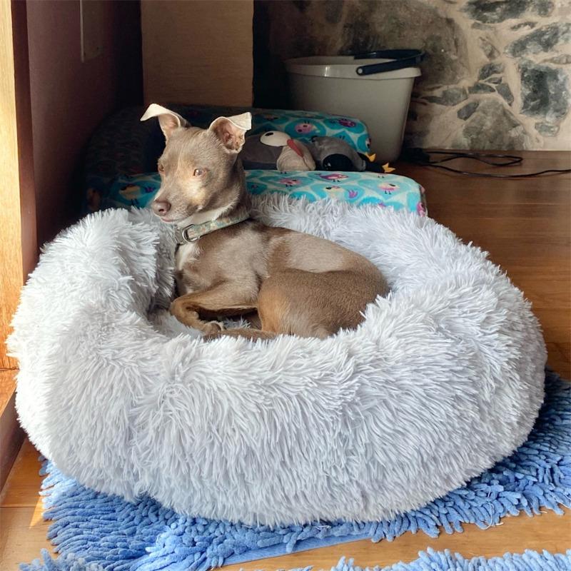 Super Soft Dog Bed Plush Cat Mat Dog Beds Round Cushion Pet Product Accessories Washable Dog and Cat Cushion Bed Winter Warm Sofa Hot Sell