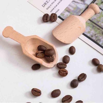 1 Pièce Cuillère à sel de bain Cuillères Thé petite cuillère en bois Pelle à engrais Mini en bois