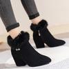 Women Snow Boots Fashion Pointed High Heels Boots Suede Casual Ankle Boots for Women Winter Fur Short Boot Botas Invierno Mujer