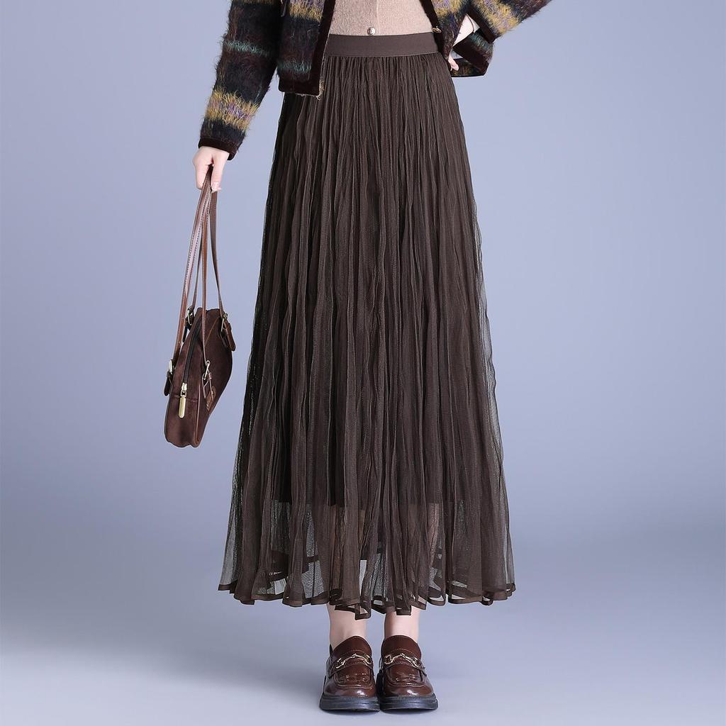 Winter 2025 Reversible Mesh Pleated Skirt with Elastic Waist